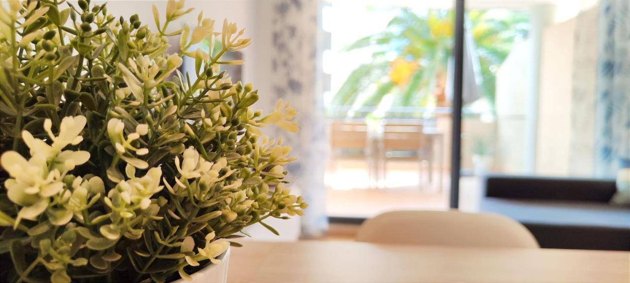 Apartamento Jacaranda By Denia Costa エクステリア 写真