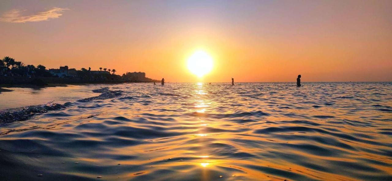 Apartamento Jacaranda By Denia Costa エクステリア 写真